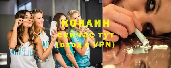 эйфоретик Белокуриха