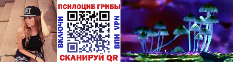 Купить где  Петухово  Галлюциногенные грибы Psilocybine cubensis 