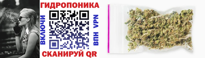 Купить где  Петухово  Бошки Шишки MAZAR 